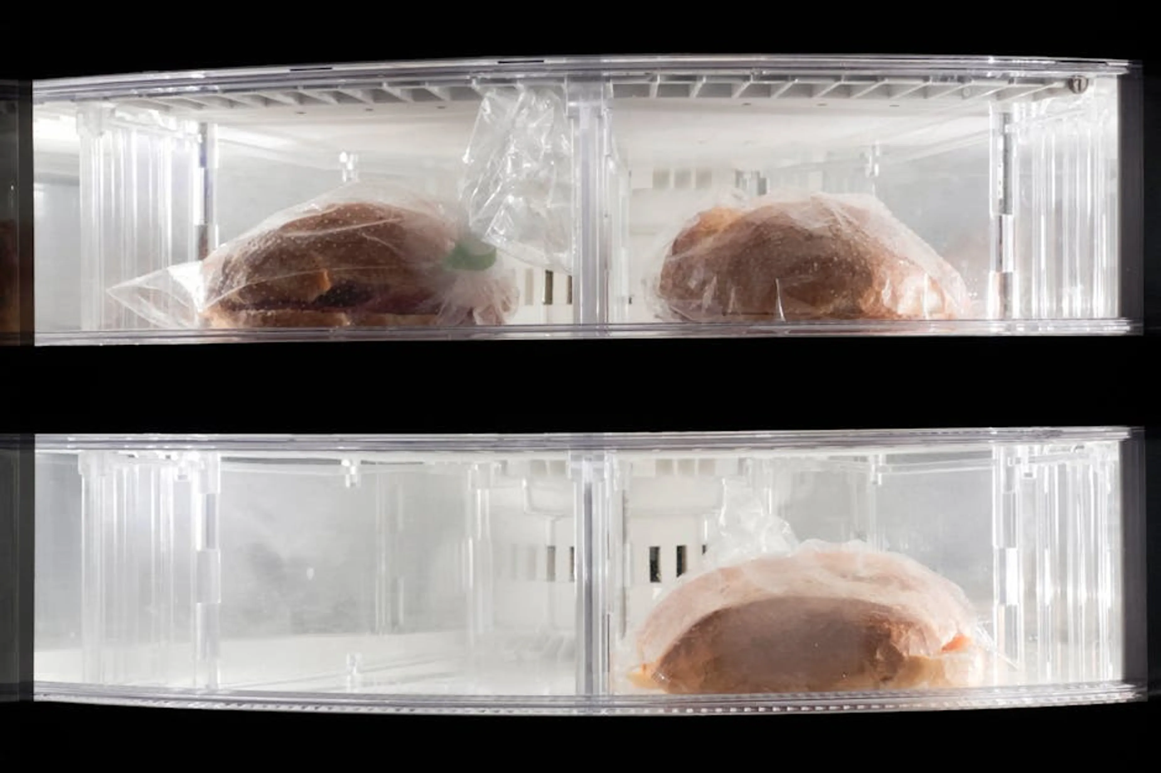 Clear view of two frozen sandwiches wrapped in plastic inside a refrigerator. Neatly arranged freezer with vacuum-sealed foods and labeled containers